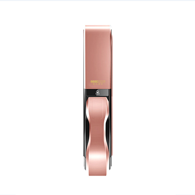 視控達智能鎖 SKD-LK-ZW2801全自動滑蓋指紋鎖