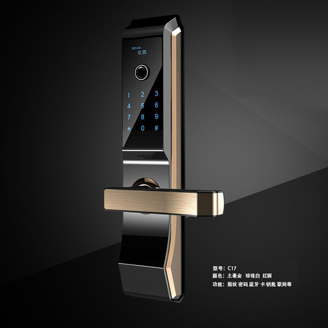 億宸智能鎖 C17家用防盜門智能聯(lián)網(wǎng)鎖