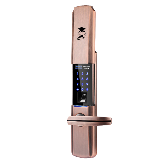 京博士智能鎖 DP-816家用智能鎖密碼鎖