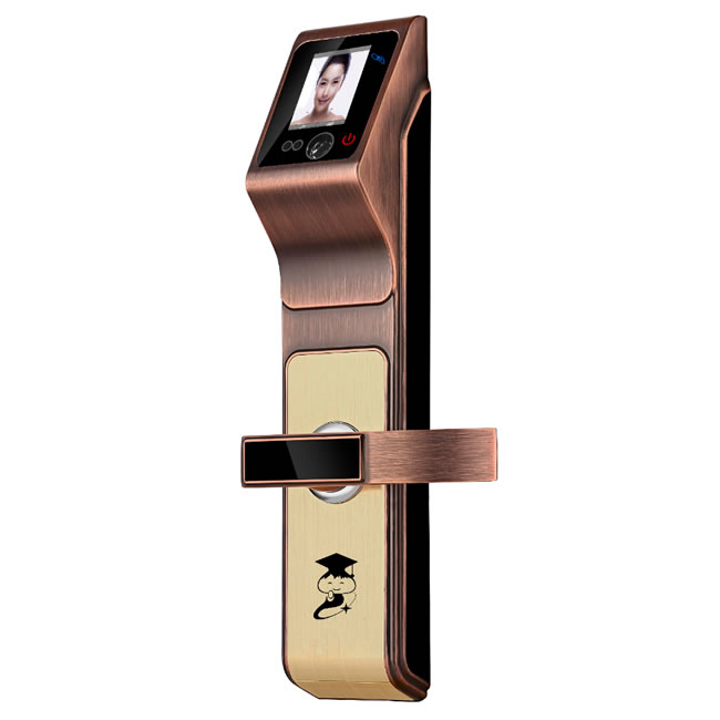 京博士智能鎖 DP-818人臉識別智能鎖