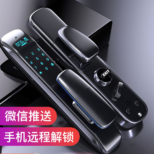 黑帆智能鎖 MJ005人臉識別全自動密碼鎖