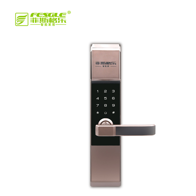菲斯格樂智能鎖 6819防盜門小滑蓋密碼智能鎖
