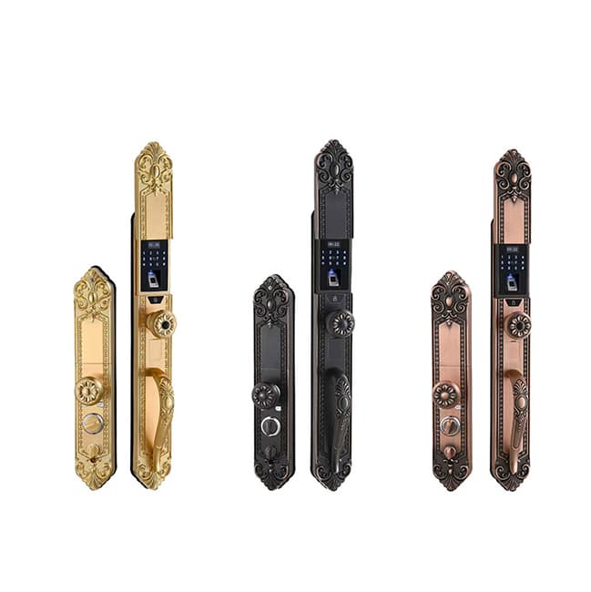 索利多智能鎖 D05歐式別墅大門指紋鎖