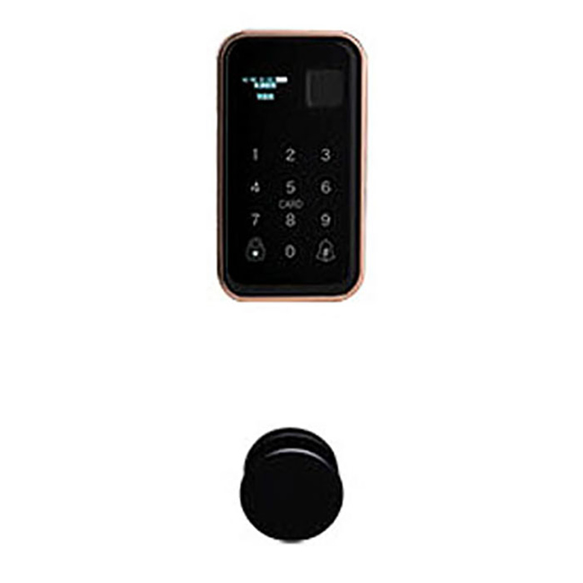 帝德森智能鎖 鑲嵌式指紋鎖A