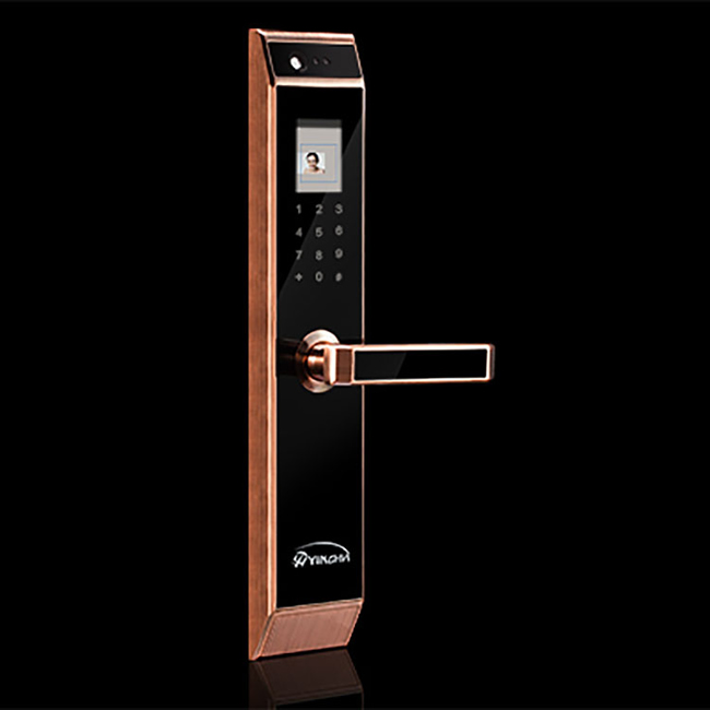 英暉智能鎖 YH6001家用人臉識別智能鎖