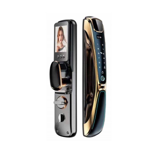 亞堡羅威智能鎖R63D人臉全自動智能鎖 虛位密碼防偷窺