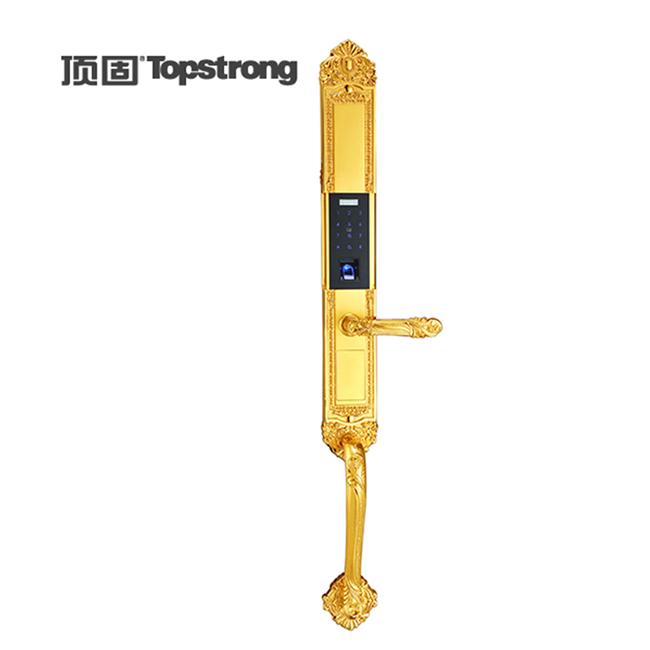 頂固CS6811-CF9900 巴洛克智能鎖