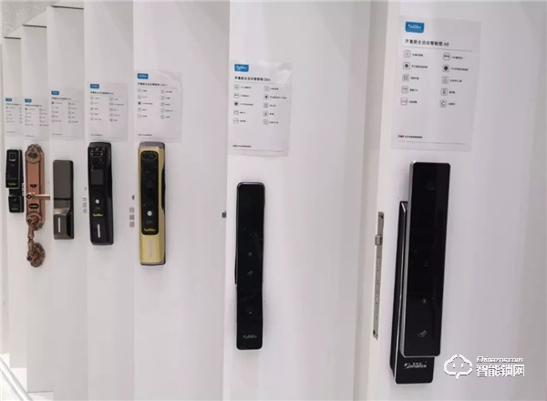 專訪羅曼斯王偉志 | 彎道超車背后的年輕與創新