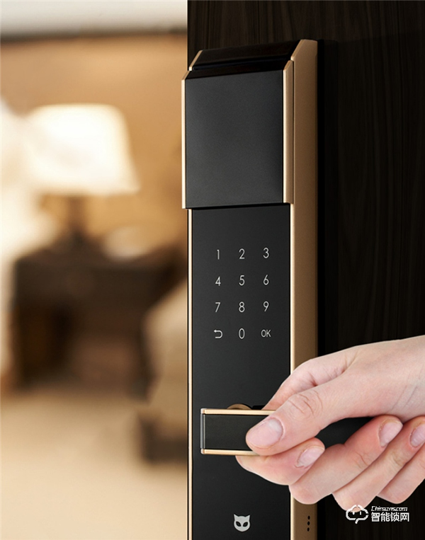 炫光感應(yīng)，酷炫新品斑點(diǎn)貓智能門鎖Z3上市，開啟智能新生活！