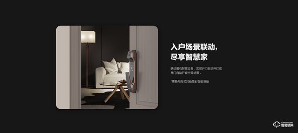 螢石視頻鎖DL30VS,視頻守衛 安全加倍 螢石視頻鎖DL30VS,視頻守衛 安全加倍