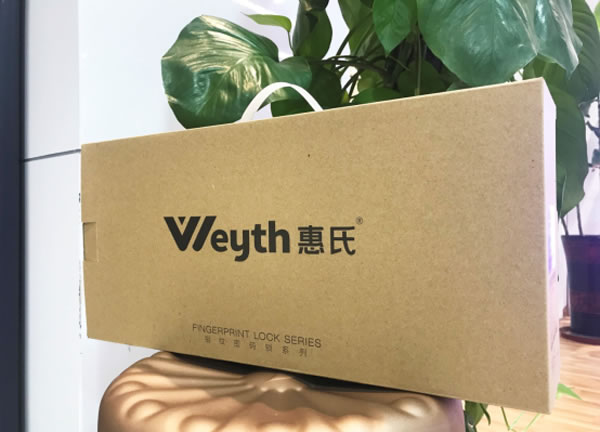 年輕人喜歡的智能鎖,有哪些特征?惠氏X66真實開箱測評 年輕人喜歡的智能鎖,有哪些特征?惠氏X66真實開箱測評