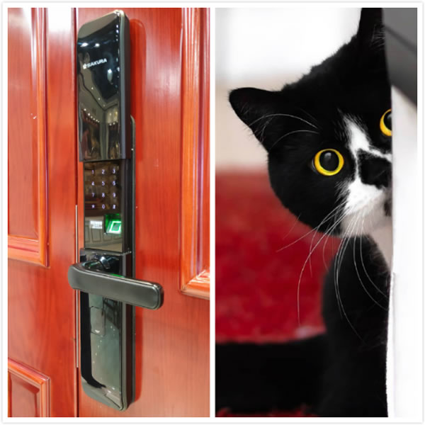 一把冷艷的智能鎖,櫻花指紋鎖新品8288使用測評 一把冷艷的智能鎖,櫻花指紋鎖新品8288使用測評