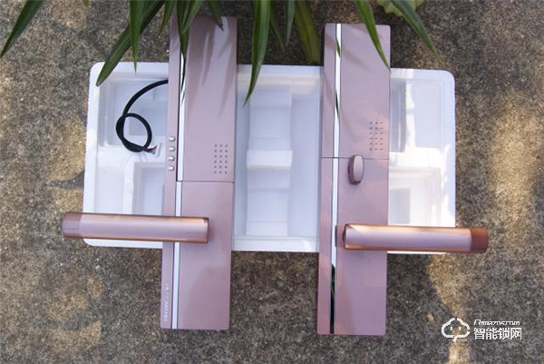 德施曼指紋鎖怎么樣?阿里云智能鎖、小嘀T7、小嘀指紋鎖V5測評 德施曼指紋鎖怎么樣?阿里云智能鎖、小嘀T7、小嘀指紋鎖V5測評