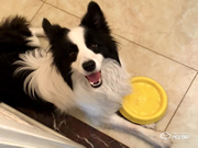 你家大門真的安全么？惠氏X68一握開智能鎖真實(shí)使用測評