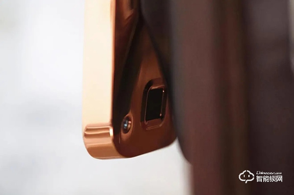 安全等級高，支持人臉識別、假鎖報警，德施曼R8智能鎖評測