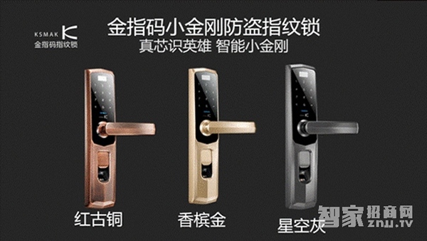 智能鎖十大品牌實力排行榜 智能鎖十大品牌實力排行榜