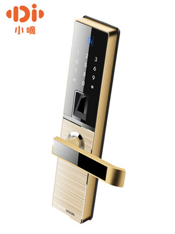 德施曼智能鎖_德施曼智能鎖怎么樣 德施曼智能鎖_德施曼智能鎖怎么樣