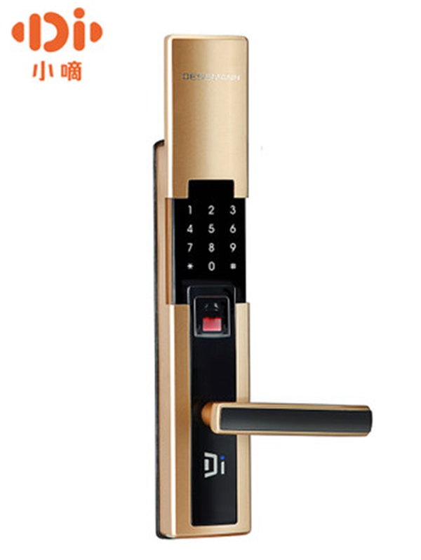 德施曼智能鎖多少錢_德施曼智能鎖特點介紹 德施曼智能鎖多少錢_德施曼智能鎖特點介紹