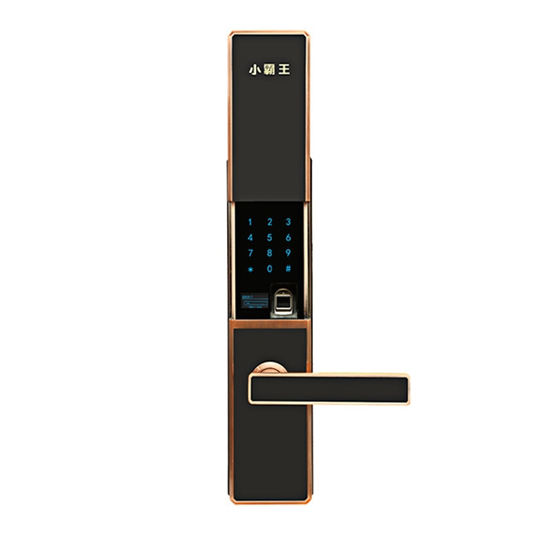 小霸王智能鎖多少錢(qián)_選購(gòu)智能鎖注意事項(xiàng) 小霸王智能鎖多少錢(qián)_選購(gòu)智能鎖注意事項(xiàng)