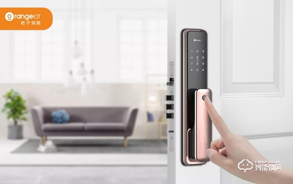 實力顏值雙開花！桔子物聯智能鎖斬獲“葵花獎”兩項大獎！