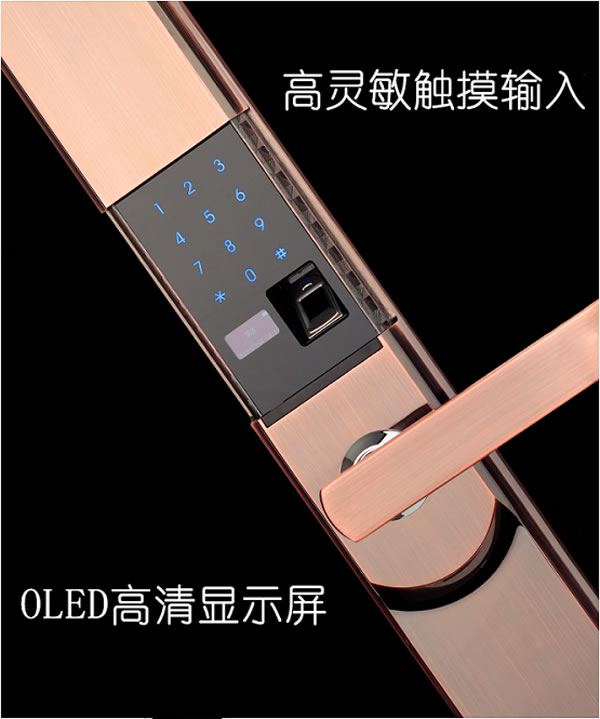 頂吉無孔智能門鎖200F 為安全鑄造新基點 頂吉無孔智能門鎖200F 為安全鑄造新基點