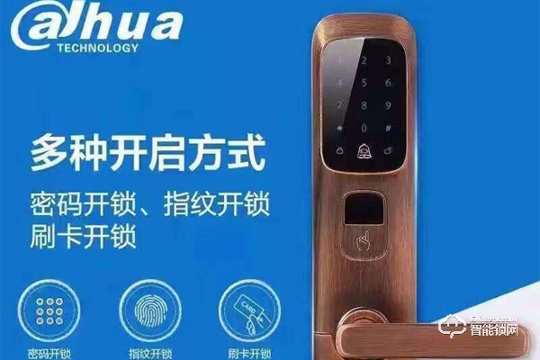 大華智能鎖安全嗎