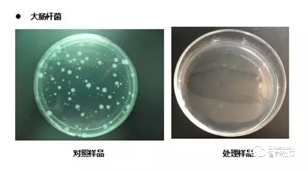 雅潔五金抗菌黑科技,從細微處呵護家人健康 雅潔五金抗菌黑科技,從細微處呵護家人健康