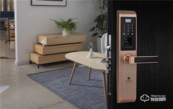 5G時(shí)代不缺席,豪力士發(fā)力NB-IoT聯(lián)網(wǎng)智能鎖 5G時(shí)代不缺席,豪力士發(fā)力NB-IoT聯(lián)網(wǎng)智能鎖