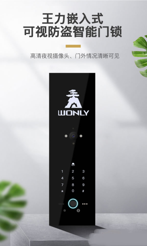 王力智能門鎖多渠道聚力爆發(fā),銷量領(lǐng)跑行業(yè) 王力智能門鎖多渠道聚力爆發(fā),銷量領(lǐng)跑行業(yè)