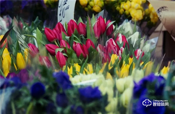 飛利浦智能鎖,讓團聚更及時,讓年味更顯智慧 飛利浦智能鎖,讓團聚更及時,讓年味更顯智慧