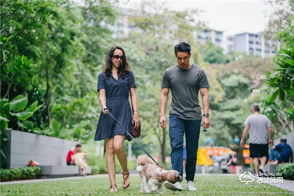 預防寵物走丟方式千千萬,飛利浦智能鎖,讓寵物在家更安全 預防寵物走丟方式千千萬,飛利浦智能鎖,讓寵物在家更安全