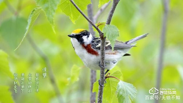 驚蟄至，萬物長，清幽之境隱藏著一把楊格智能鎖