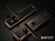 指紋鎖能否取代傳統機械鎖 