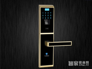 智能指紋密碼鎖有哪些優(yōu)點(diǎn)