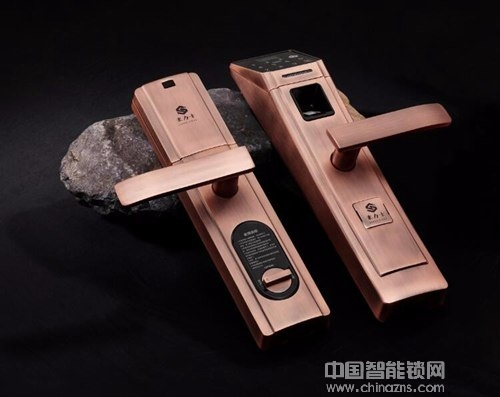 智能電子鎖受到用戶的熱捧 智能電子鎖受到用戶的熱捧