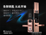 智能家居飛速發展 智能鎖運用熱潮將席卷中國