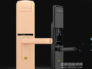 名霆指紋鎖: 防偷窺虛偽密碼