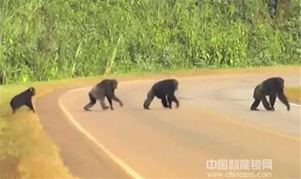 3960億市場蛋糕來臨,智能鎖經銷商該如何分享? 3960億市場蛋糕來臨,智能鎖經銷商該如何分享?