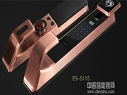 中國智能鎖品牌盤點(diǎn)