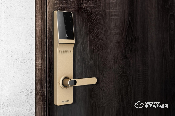 2019將是智能門鎖的關鍵一年 三千品牌爭奪百億級公司門票 2019將是智能門鎖的關鍵一年 三千品牌爭奪百億級公司門票