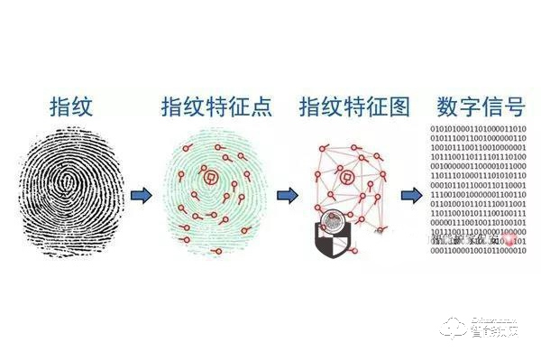 指紋鎖的指紋識別原理解讀(詳細) 指紋鎖的指紋識別原理解讀(詳細)