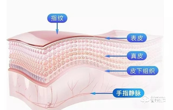 指紋鎖已過時?指靜脈鎖識別率更高更安全 指紋鎖已過時?指靜脈鎖識別率更高更安全