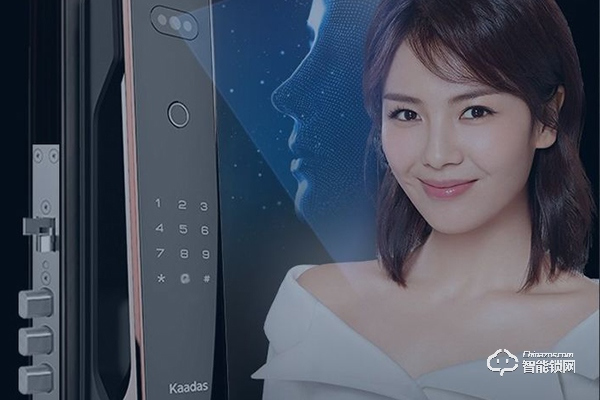 凱迪仕智能鎖和小米智能鎖哪個好 凱迪仕智能鎖和小米智能鎖哪個好