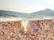 德國諾托:讓您在操縱的一開一合間,觸摸一片海!