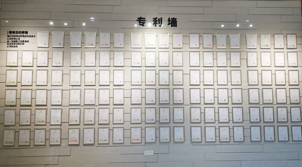 BSPH智能家居以最可貴的品質(zhì)伴您同行 為您保駕護航 BSPH智能家居以最可貴的品質(zhì)伴您同行 為您保駕護航