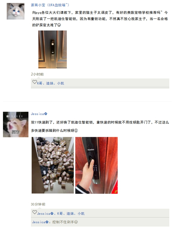 凱迪仕智能鎖：智能鎖界「凡爾賽文學(xué)」來了