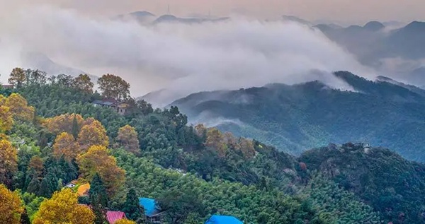 河東智能家居:VISAYA意境酒店,當桃花源遇見了智能控制 河東智能家居:VISAYA意境酒店,當桃花源遇見了智能控制