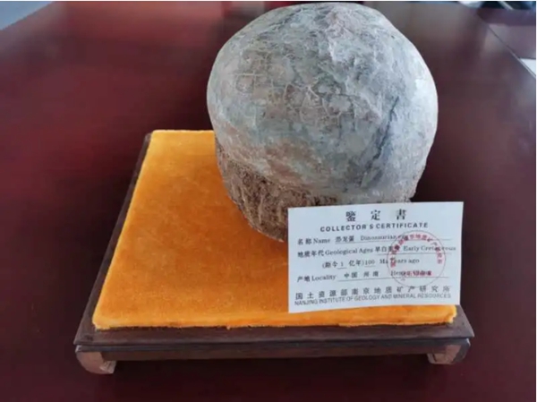 UIOT超級智慧家獲贈恐龍蛋一枚 UIOT超級智慧家獲贈恐龍蛋一枚