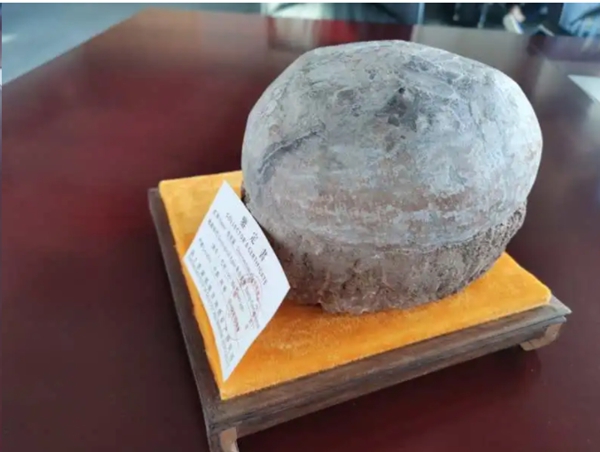 UIOT超級智慧家獲贈恐龍蛋一枚 UIOT超級智慧家獲贈恐龍蛋一枚