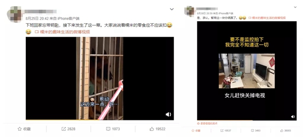 飛利浦智能鎖:寵物獨(dú)自開(kāi)門存在的安全隱患 你注意到了嗎? 飛利浦智能鎖:寵物獨(dú)自開(kāi)門存在的安全隱患 你注意到了嗎?